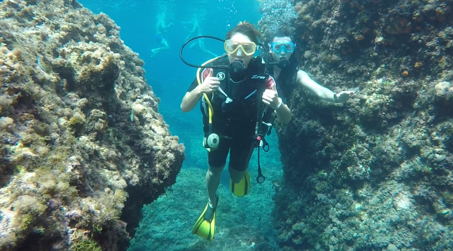divesicily
