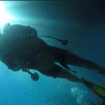 divesicily open water course