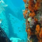 divesicily